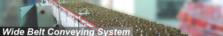 CV-3 Wide Belt Conveying System